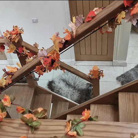 Clifton At Lovelady Shield Casa vacanze